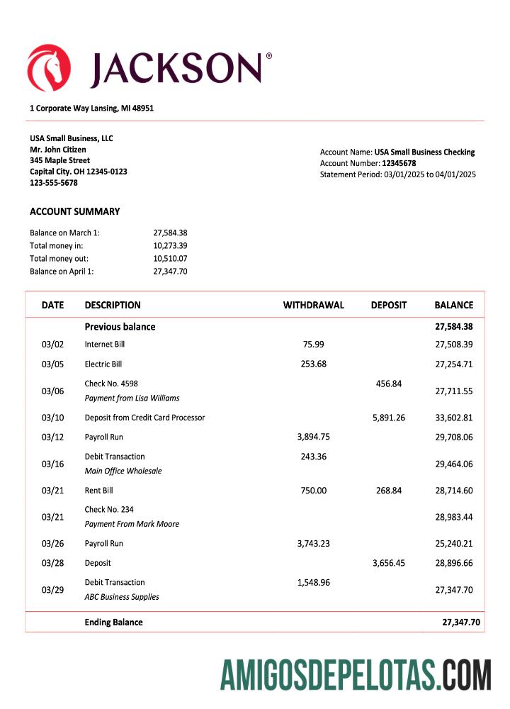 Em branco EUA Jackson National Organization modelo de extrato de conta Word e PDF